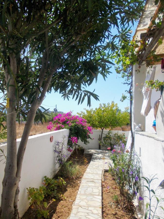 Nyfes Traditional Boutique Faltaina Skyros Ngoại thất bức ảnh