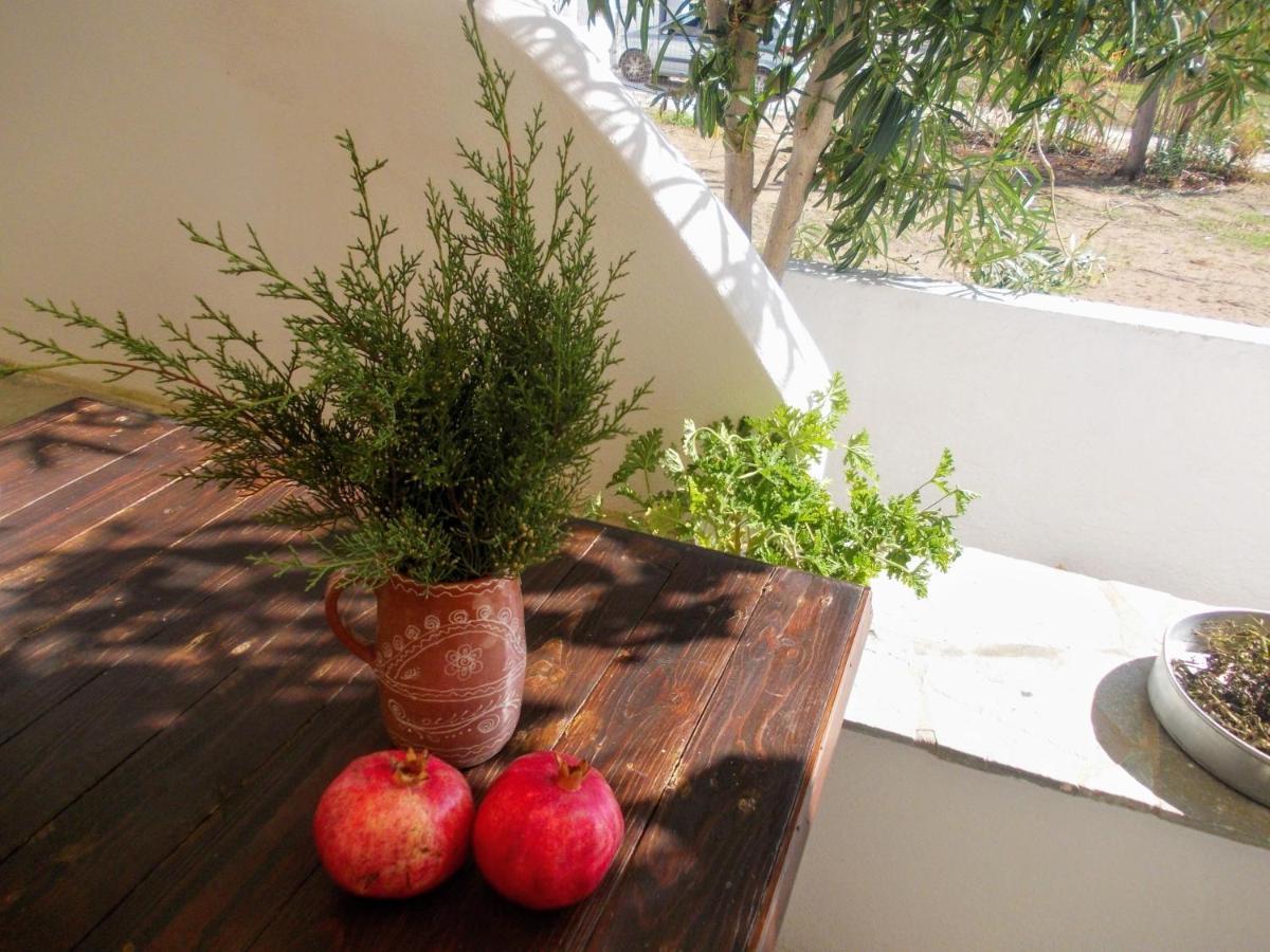 Nyfes Traditional Boutique Faltaina Skyros Ngoại thất bức ảnh