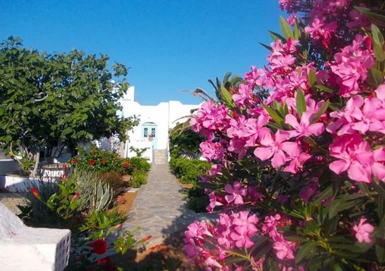 Nyfes Traditional Boutique Faltaina Skyros Ngoại thất bức ảnh